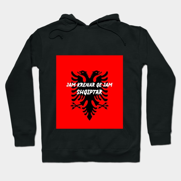 Albanian Eagle Hoodie by Vannybunny